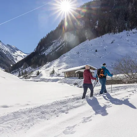 Fussalm * غيرلوسبيرغ